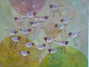   - birds from Wisełka