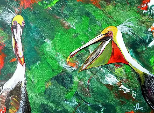 Ewa Mościszko - pelican report