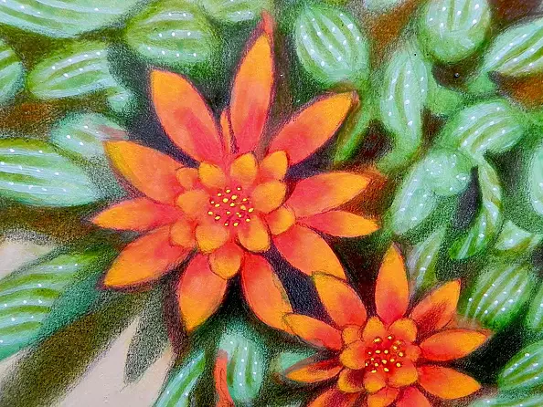 federico cortese - red flowers III