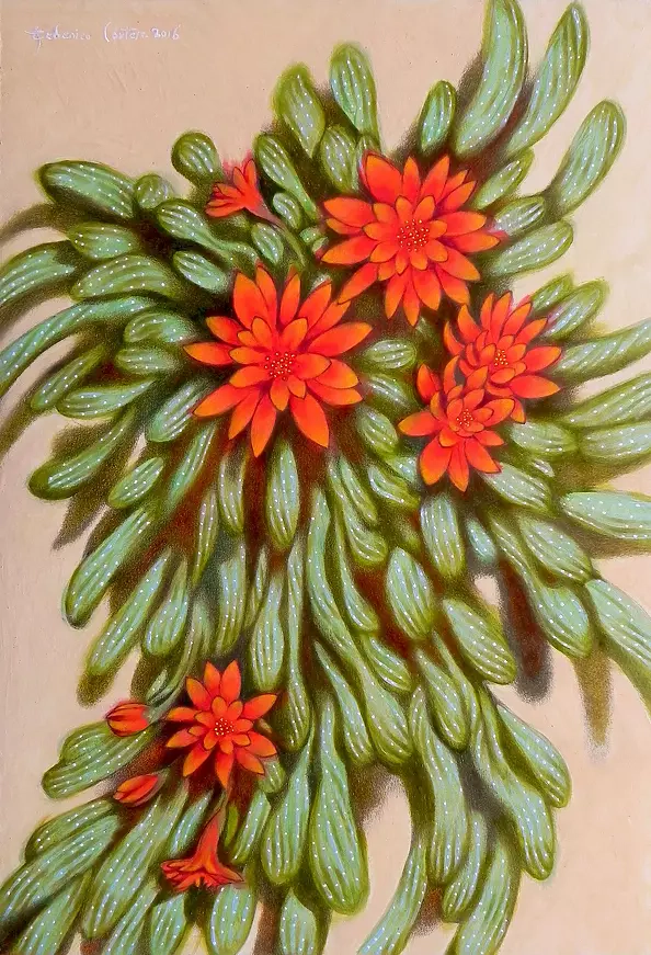 federico cortese - red flowers