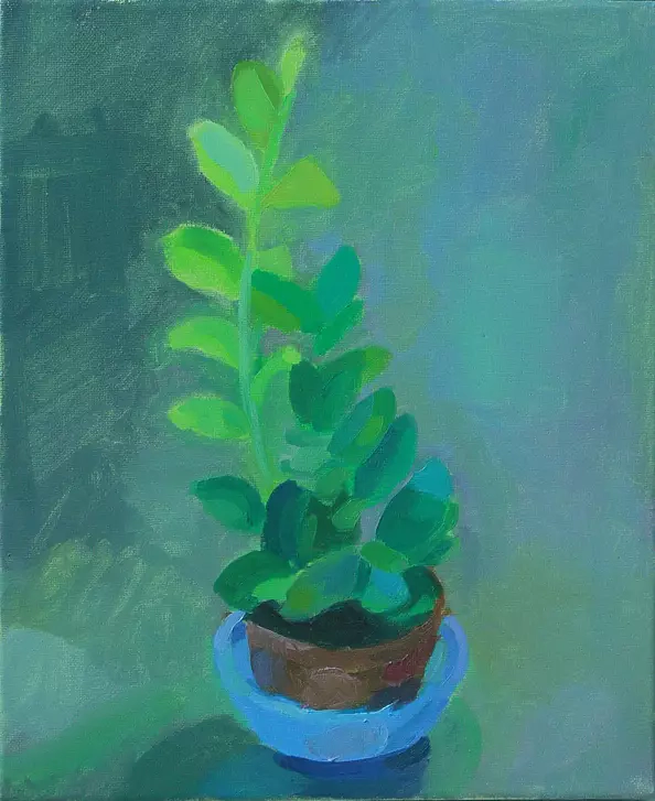 Marcin Wesolowski - plant