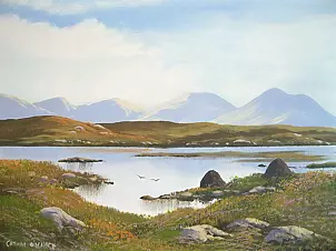   - Roundstone bogland