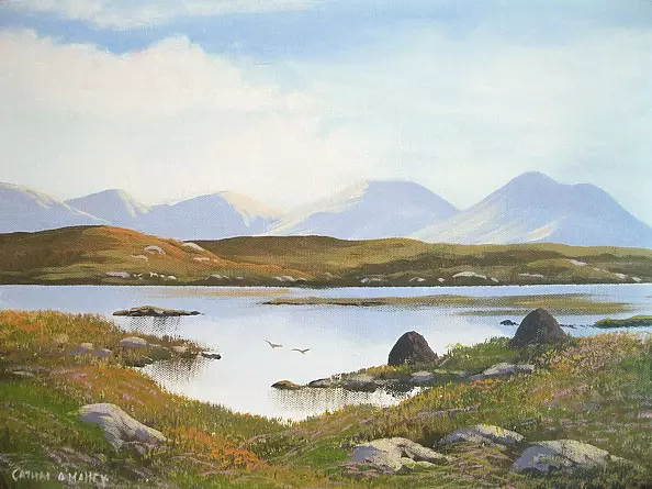 Cathal O Malley - Roundstone bogland