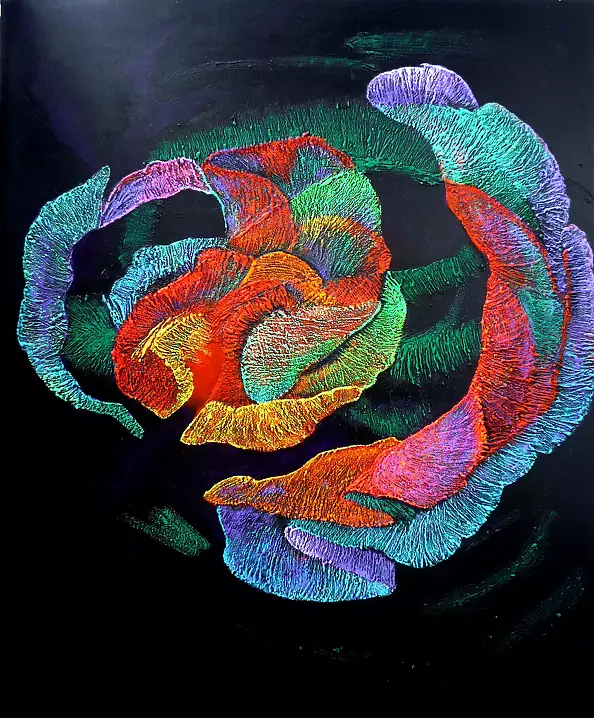 Ewa Laszczkowska - róża