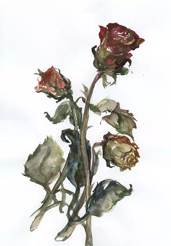 Dorota Chwałek - roses 2