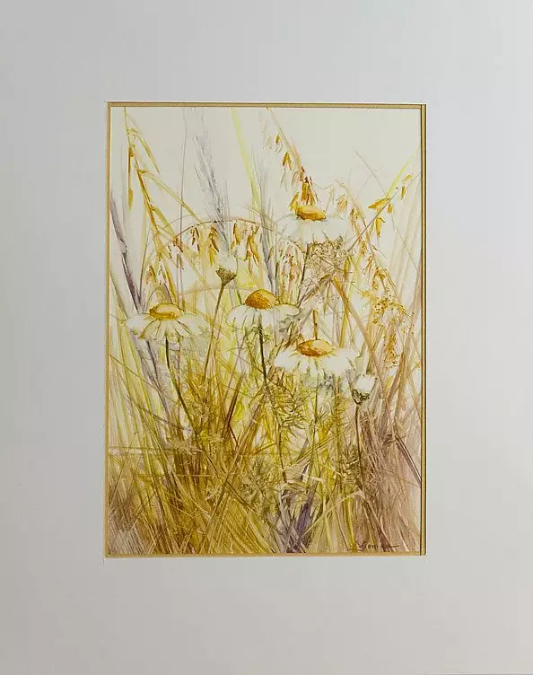 Monika Bielat Sobiczewska - camomile