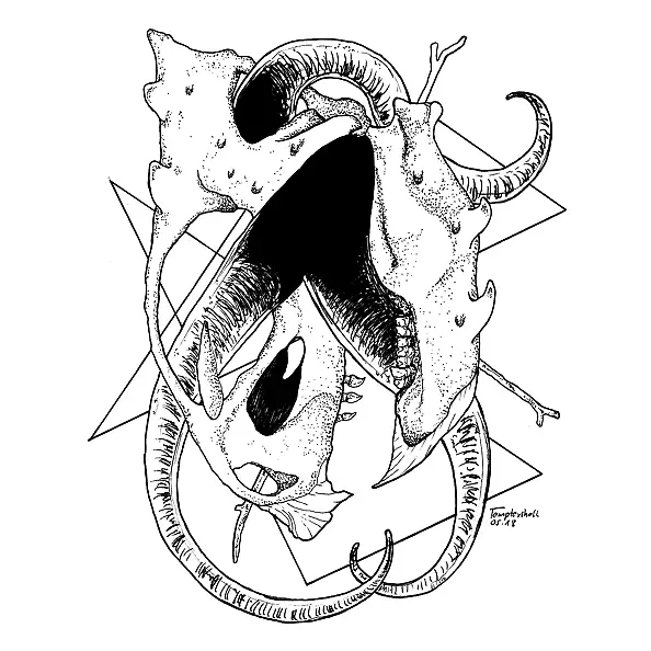 Maciej Wojtoń - sQull 4J [13-05-18]