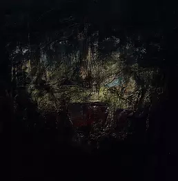 Michal Widelski - schizophrenia