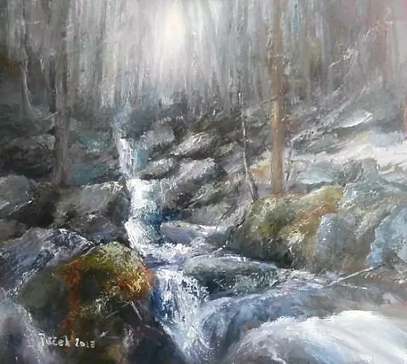 Milos Pucek - secret forest