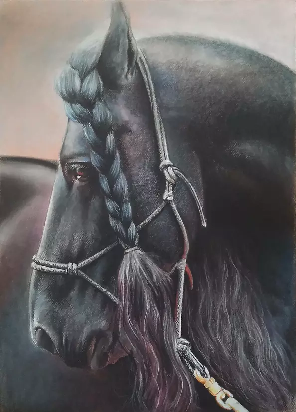 Robert Chełchowski - shire horse