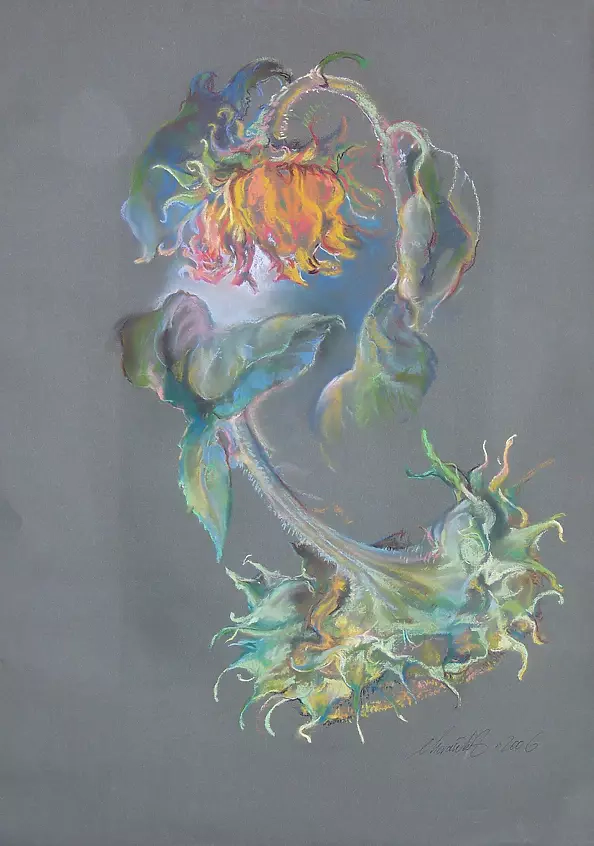 Dorota Chwałek - słoneczniki 2