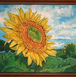 . ivonneimages - słoneczniki