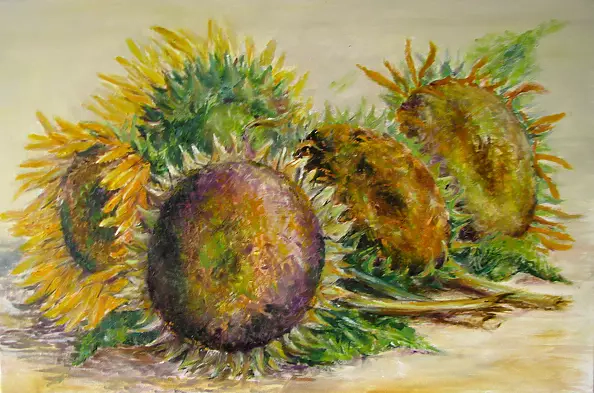Jadwiga Marcinek - sunflowers