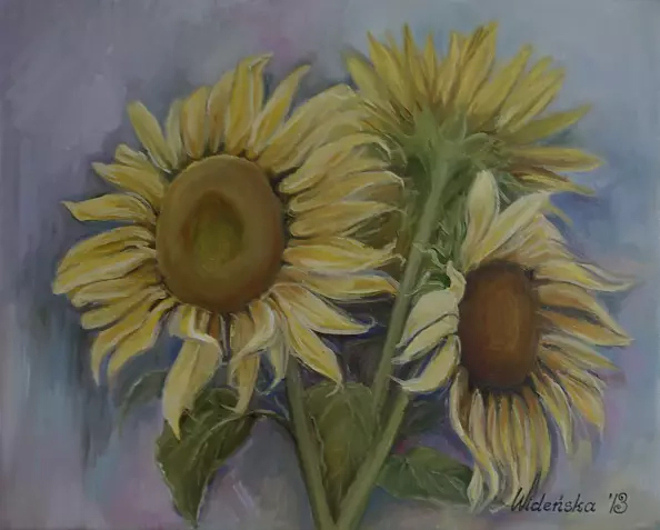 Marta Wideńska - słoneczniki