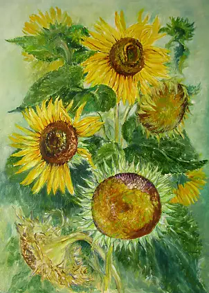 Jadwiga Marcinek - słonieczniki 