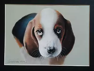 Robert Chełchowski - traurige kleine Hund