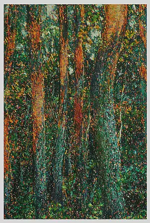 Marek Chomczyk - pine trees