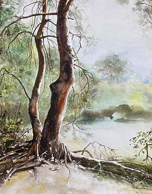 Rafał Bochra - pine trees in Wrzelowiec 2