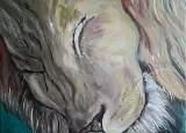 Ewa Mościszko - sleepy labrador