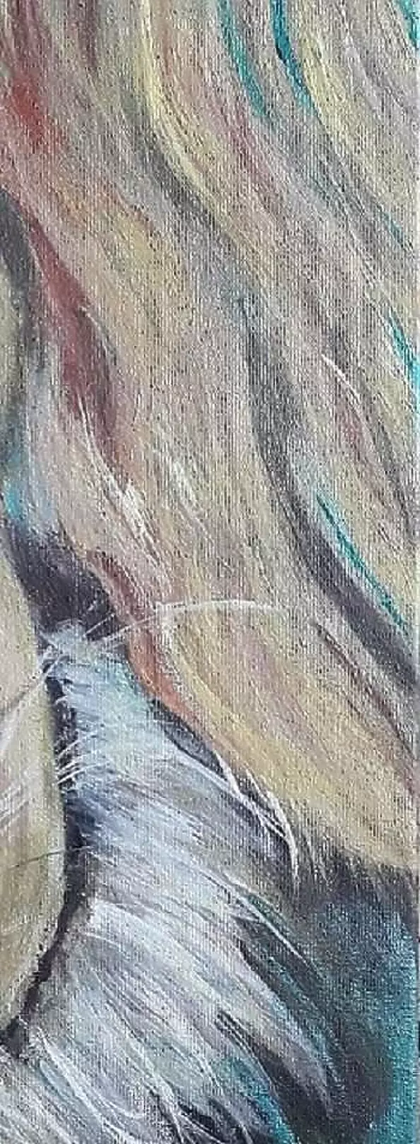 Ewa Mościszko - sleepy labrador