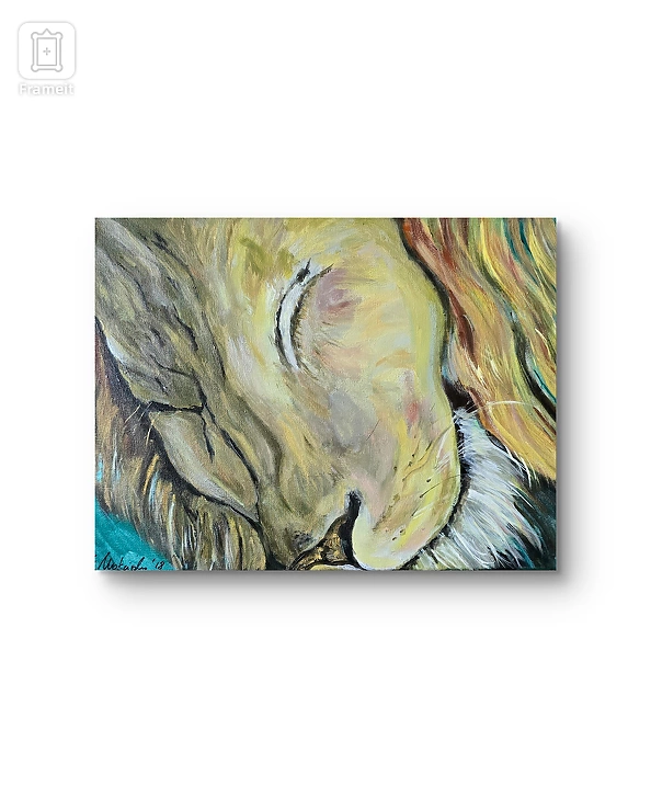 Ewa Mościszko - sleepy labrador