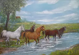 Alicja Urbaniak - herd of horses