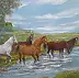 Alicja Urbaniak - Herde von Pferden