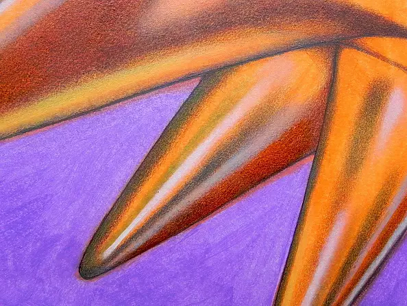 federico cortese - star