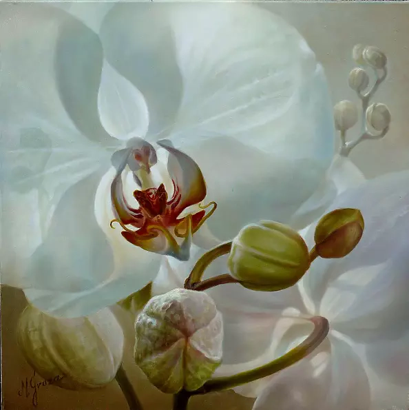 Maria Gruza - orchid fantasies