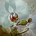 Maria Gruza - orchid fantasies