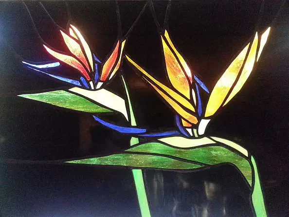 Stanisław Tobiasz - strelicje rajski ptak