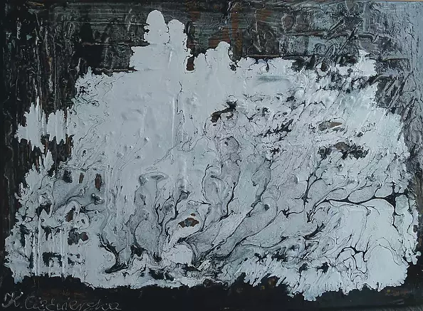 Krystyna Ciećwierska - struktury zimowe VI