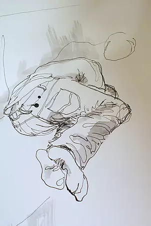 Elżbieta Stelmaszczyk Nowak - studies