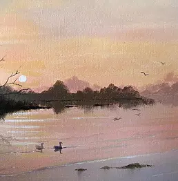 Cathal O Malley - Sunset birds