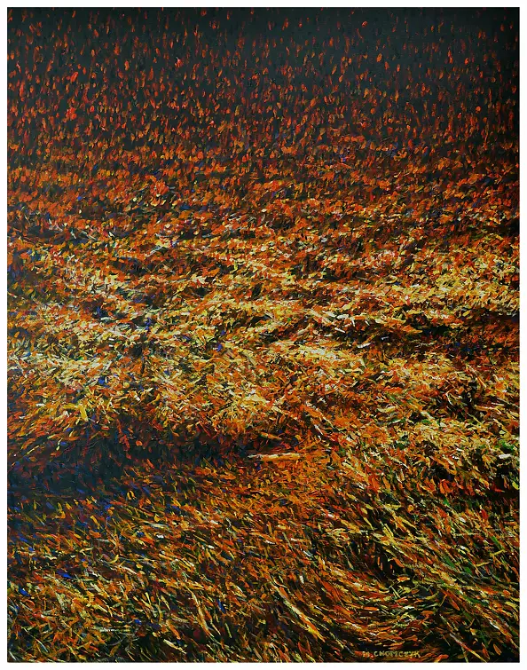 Marek Chomczyk - grass