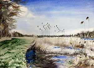 Rafał Bochra - trzciny stawu w Kluczkowicach