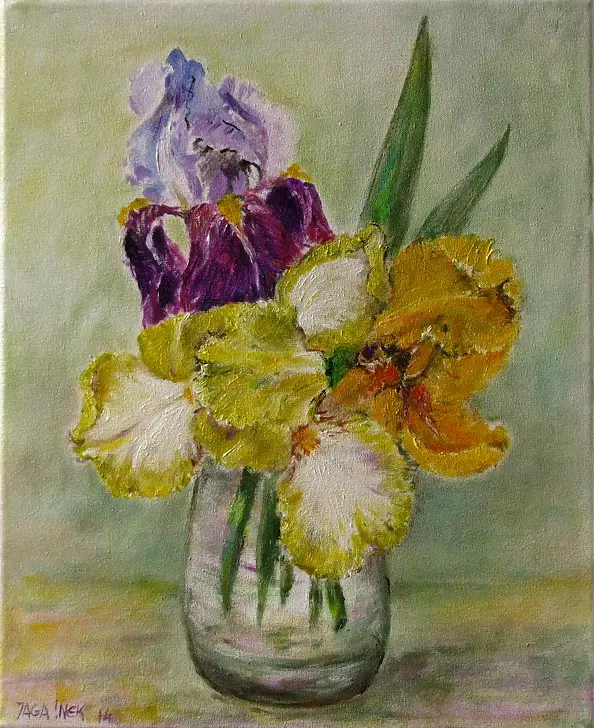 Jadwiga Marcinek - trzy kwiaty irysa