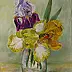 Jadwiga Marcinek - Three iris flowers