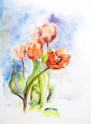   - tulips