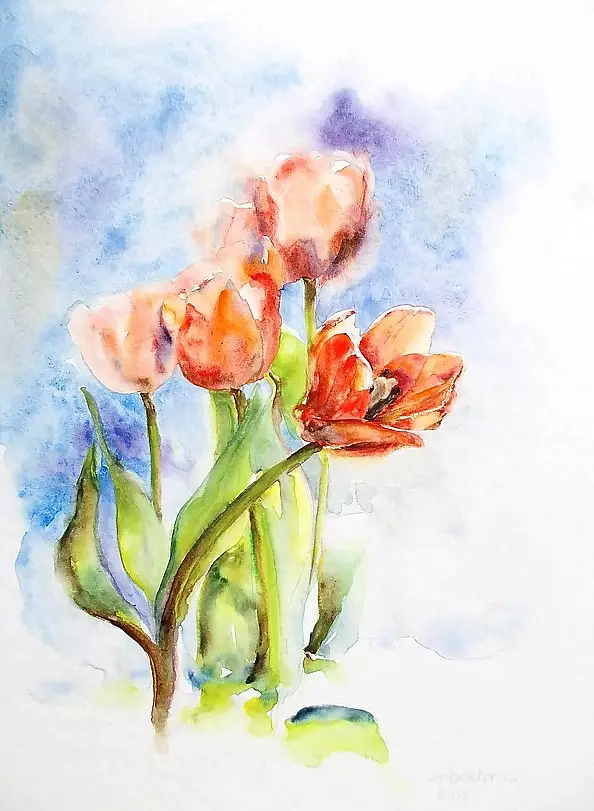Rafał Bochra - tulips