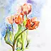 Rafał Bochra - tulips