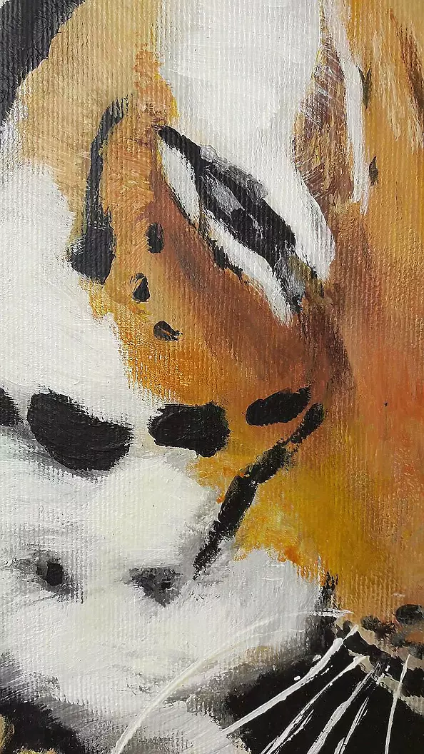 Ewa Mościszko - tygrysy