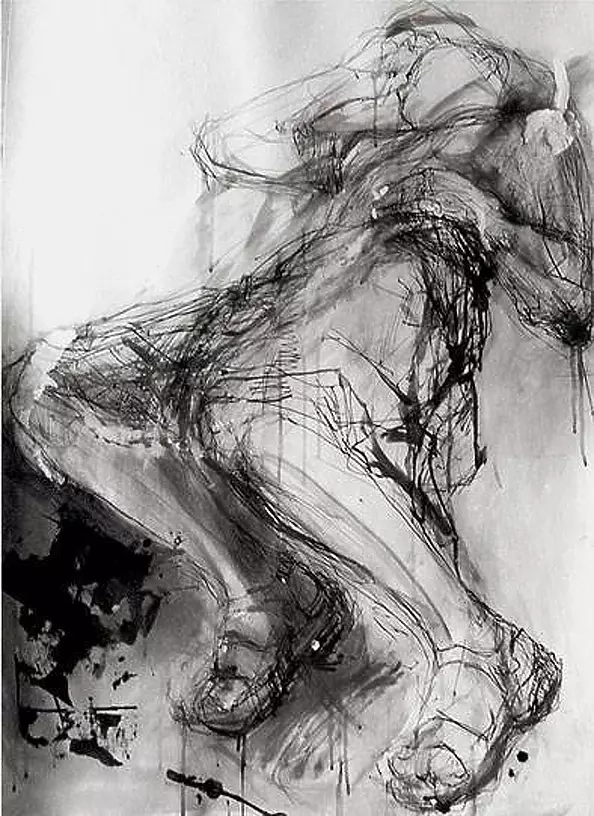 Anna Skowronek - no title