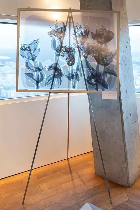 Małgorzata Jabłońska - w nocy 