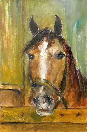 Jolanta Steppun - w stajni