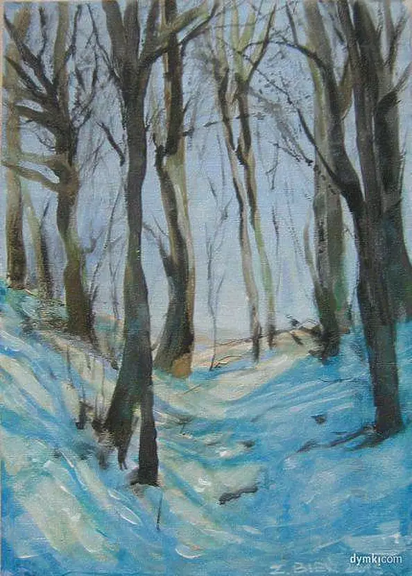 Zbigniew Bień - gorge in winter 2