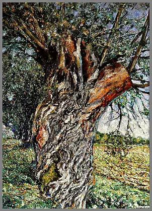 Marek Chomczyk - Wierzba