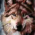 Jena Polak - wolf