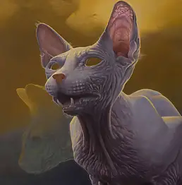 Łukasz Owczarek - wtf #k 