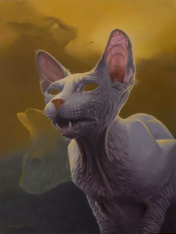 Łukasz Owczarek - wtf #k